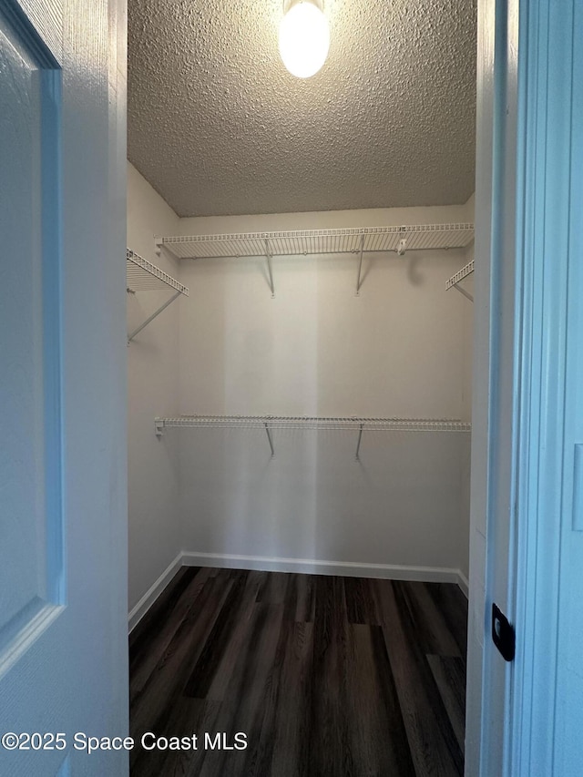 walk in closet featuring dark hardwood / wood-style flooring