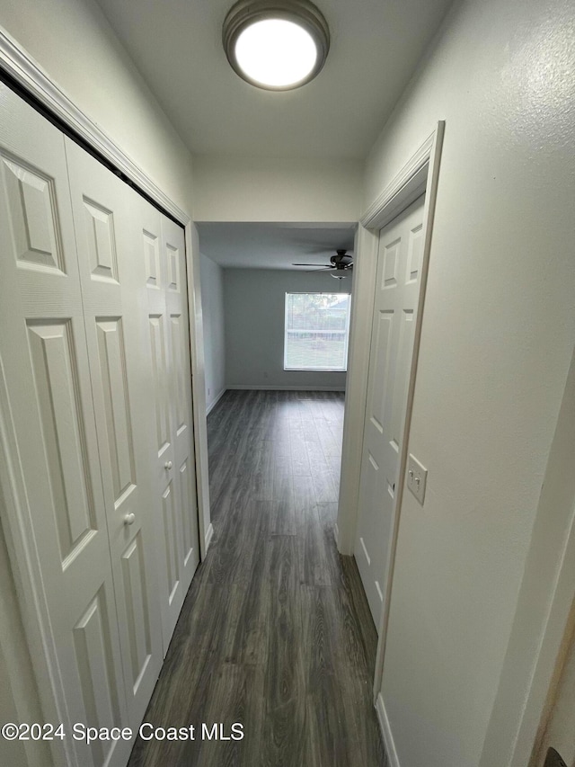 hall featuring dark hardwood / wood-style floors