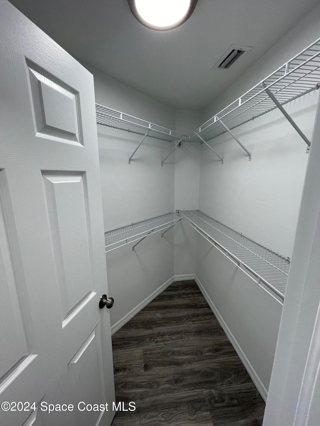 spacious closet with dark wood-type flooring