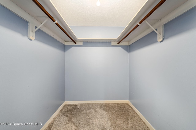 walk in closet with carpet flooring