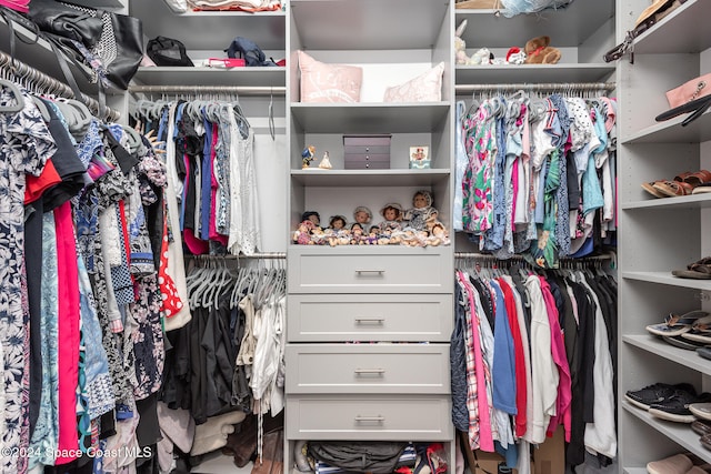 view of spacious closet