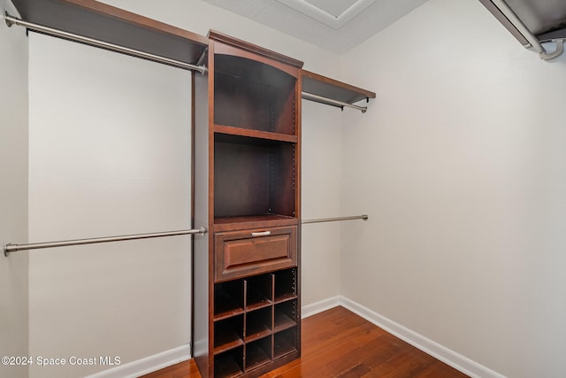 spacious closet featuring dark hardwood / wood-style floors