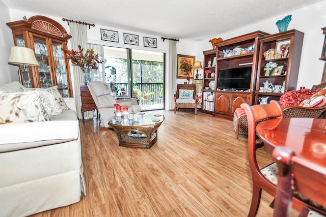 living room with hardwood / wood-style floors and a textured ceiling