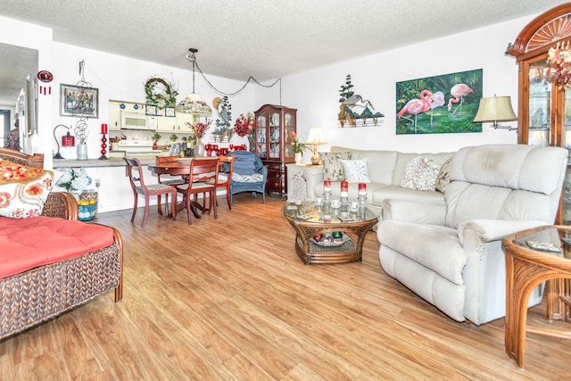 living room with a textured ceiling and light hardwood / wood-style floors