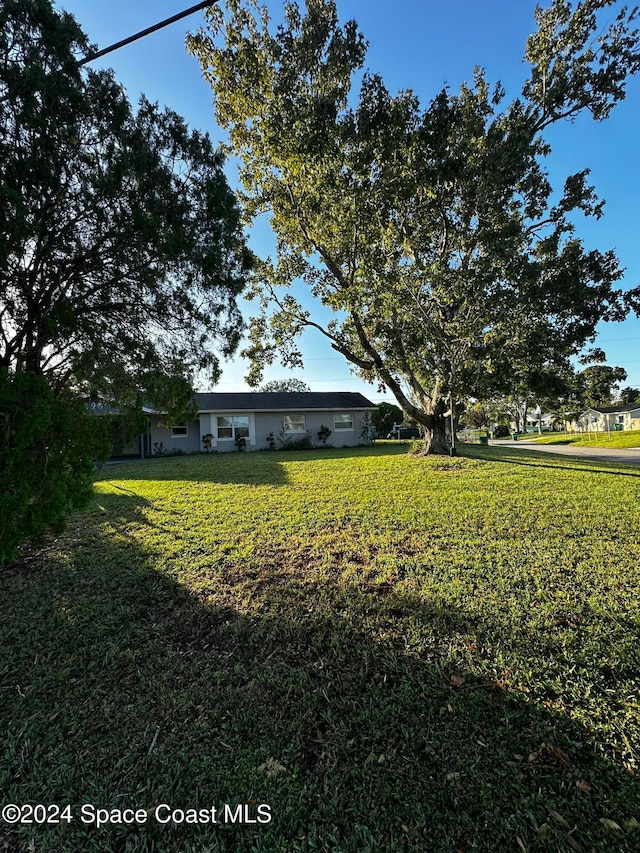 view of yard