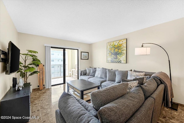 living room featuring a textured ceiling