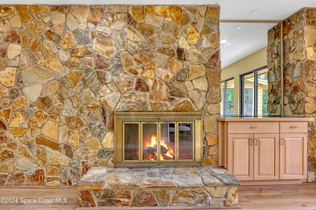 details featuring wood-type flooring and a fireplace