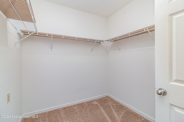 spacious closet with carpet floors