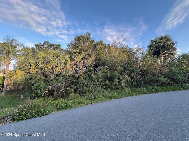2961 Palisades Dr SE, Palm Bay, FL 32909 - photo 1