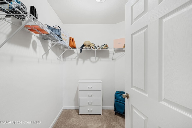 walk in closet with carpet