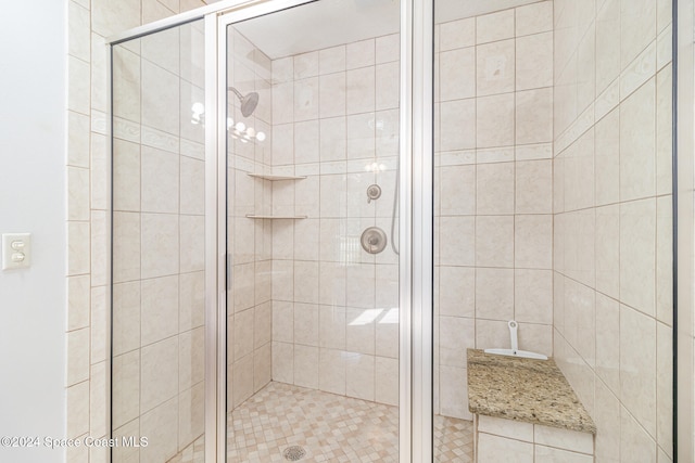 bathroom with a shower with door