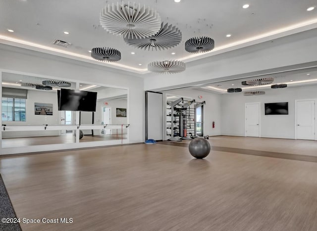 workout area featuring wood-type flooring