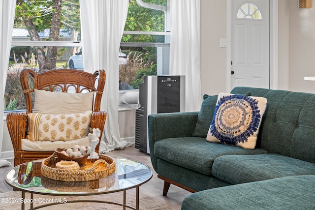 interior space with light hardwood / wood-style flooring and a wealth of natural light