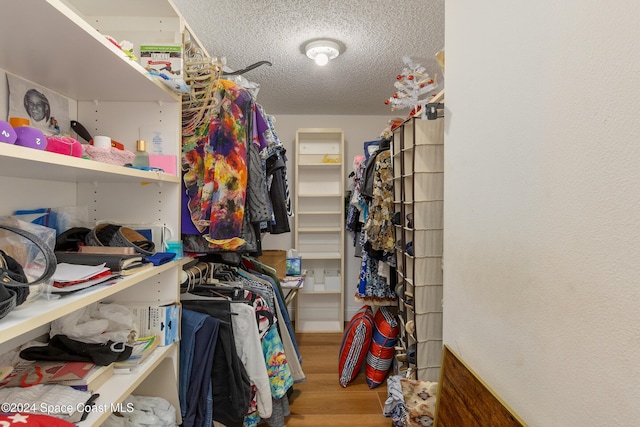 spacious closet featuring wood finished floors