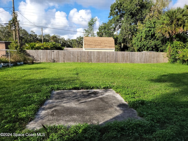 view of yard featuring a patio area