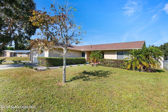 ranch-style home with a front lawn