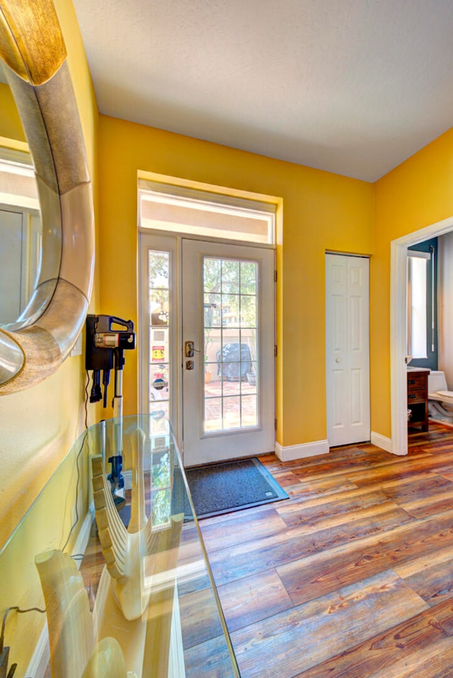 entryway featuring hardwood / wood-style flooring