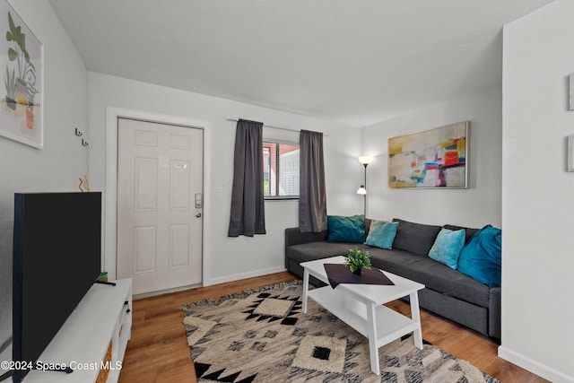 living room with light hardwood / wood-style flooring