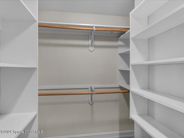 view of walk in closet