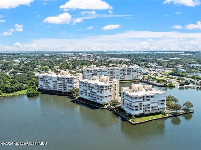 bird's eye view with a water view