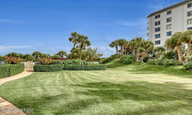 view of property's community featuring a yard