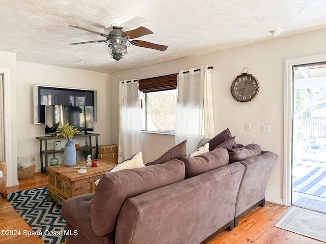 living room with light hardwood / wood-style flooring, a healthy amount of sunlight, and a textured ceiling