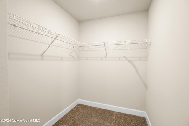 walk in closet with carpet