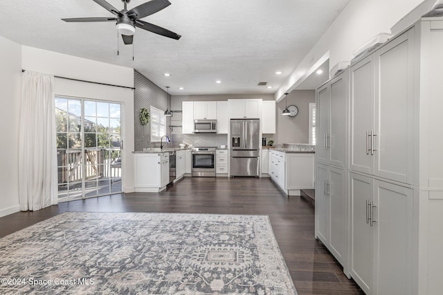 1010 Citrus Ave NE, Palm Bay, FL 32905 - kitchen featuring appliances with stainless steel finishes, a ceiling fan, dark wood finished floors, tasteful backsplash, and recessed lighting