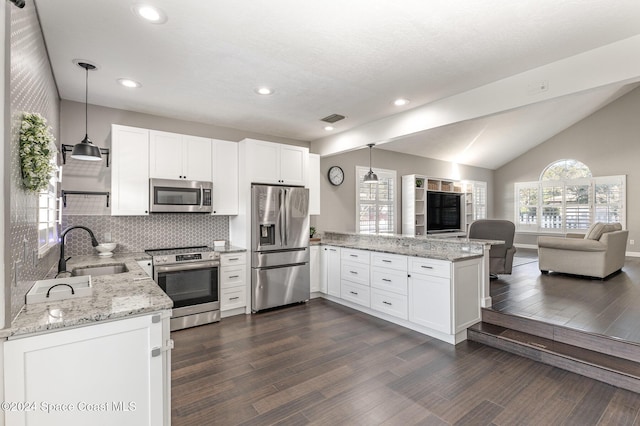 1010 Citrus Ave NE, Palm Bay, FL 32905 - kitchen with stainless steel appliances, a peninsula, open floor plan, dark wood finished floors, and backsplash
