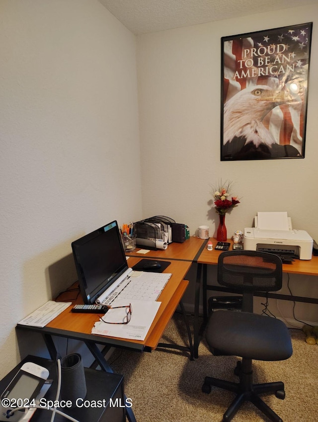 carpeted office space featuring a textured ceiling