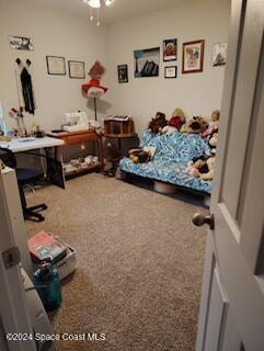 bedroom featuring carpet