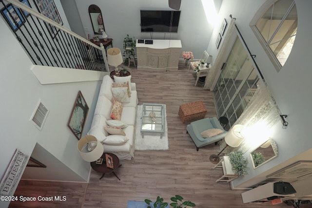 living room with wood-type flooring, a towering ceiling, and a wealth of natural light