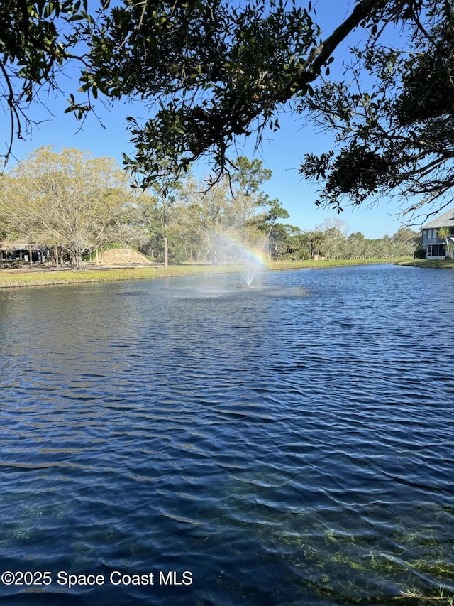 property view of water