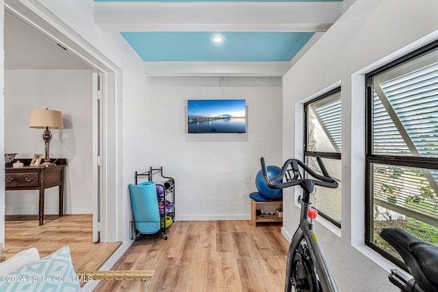 workout area featuring plenty of natural light and light hardwood / wood-style flooring