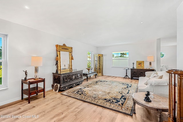 living room featuring light hardwood / wood-style floors