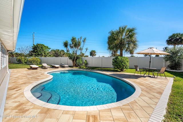 view of swimming pool with a patio area