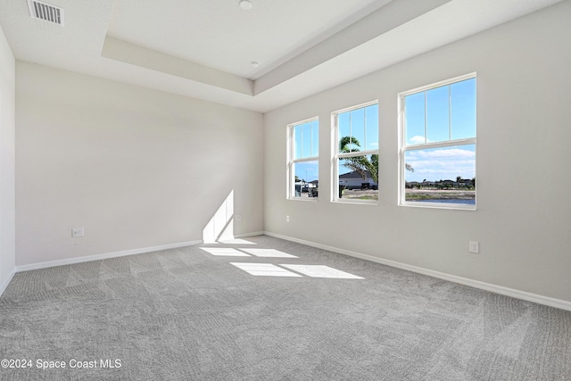 carpeted empty room with a raised ceiling