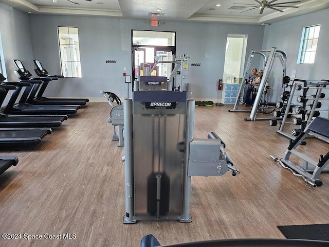 exercise room featuring a raised ceiling, hardwood / wood-style floors, and a healthy amount of sunlight