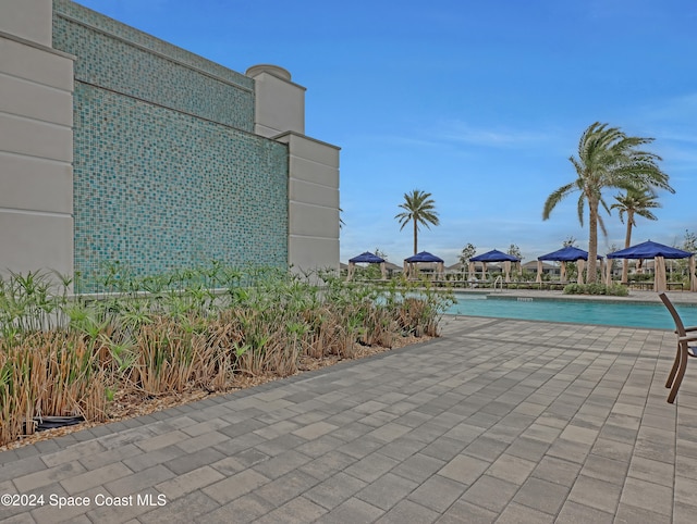 view of swimming pool with a patio area