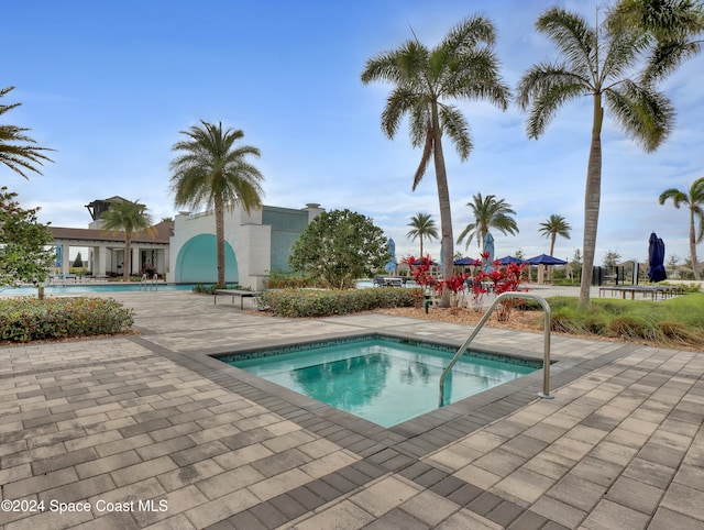 view of swimming pool