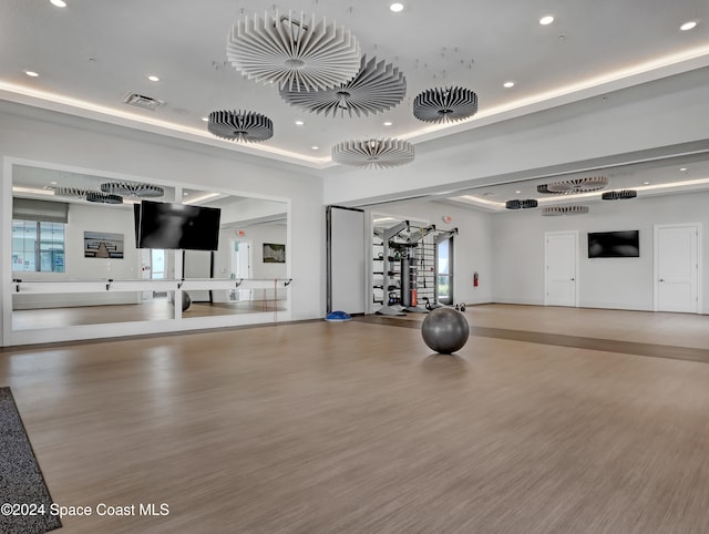 exercise room featuring wood-type flooring and a wealth of natural light