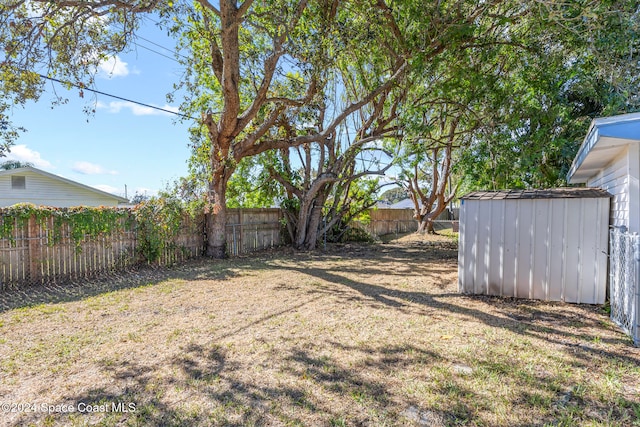 view of yard featuring a storage unit