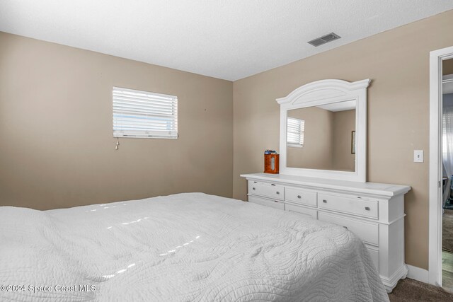 carpeted bedroom with a textured ceiling and multiple windows