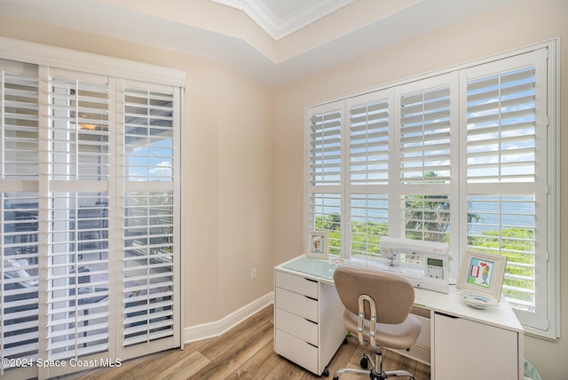 office space with light hardwood / wood-style flooring and ornamental molding