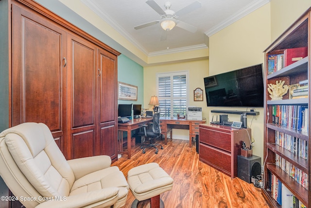 office area featuring ceiling fan, light wood-type flooring, and crown molding