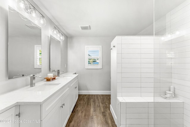 bathroom featuring wood-type flooring, vanity, and a healthy amount of sunlight