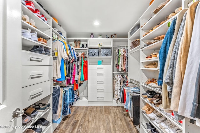 spacious closet with hardwood / wood-style flooring