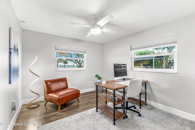 office featuring ceiling fan and hardwood / wood-style flooring