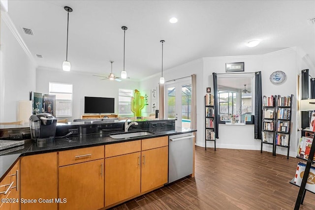 kitchen with stainless steel dishwasher, a healthy amount of sunlight, dark hardwood / wood-style flooring, and sink