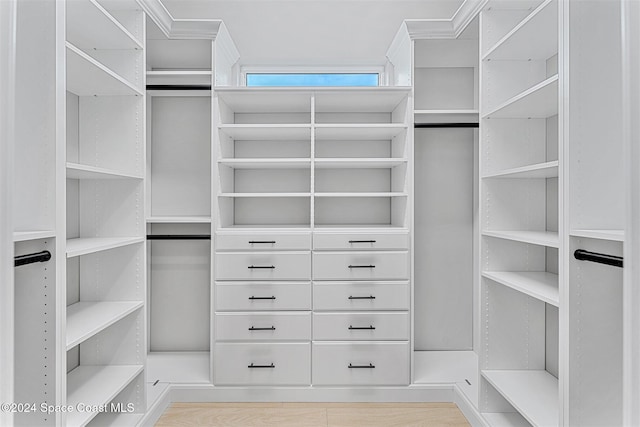 view of spacious closet